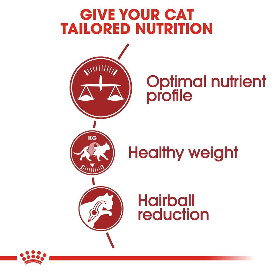 Royal Canin Feline Health Nutrition Fit 32 Dry Cat Food