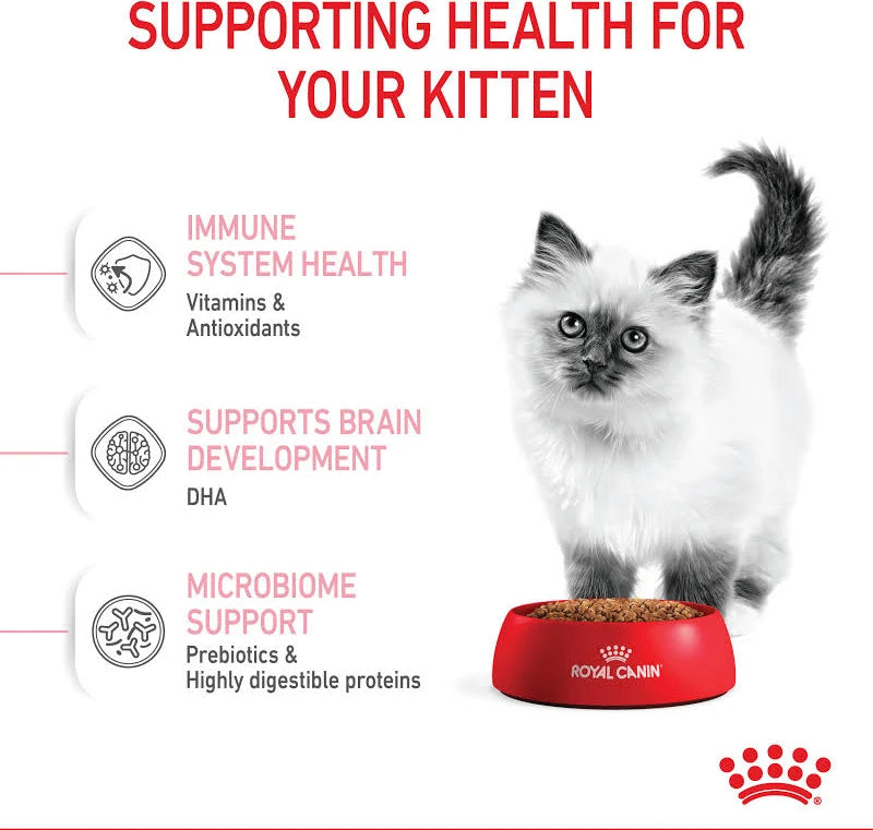 Royal Canin Kitten Dry Cat Food UAE | Pet Bazar