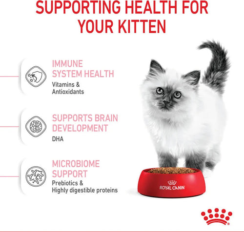 Royal Canin Kitten Dry Cat Food UAE | Pet Bazar