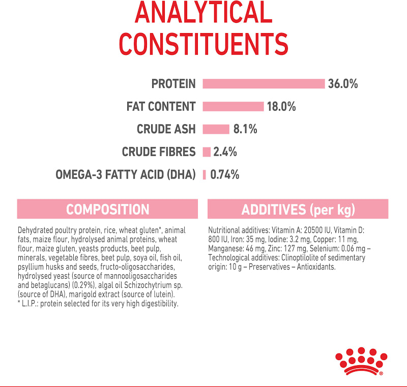Royal Canin Kitten Dry Cat Food UAE | Pet Bazar
