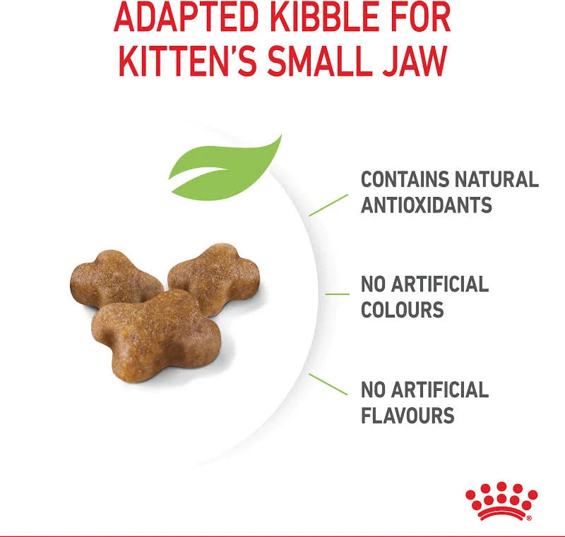 Royal Canin Kitten Dry Cat Food UAE | Pet Bazar