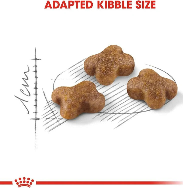Royal Canin Kitten Dry Cat Food UAE | Pet Bazar