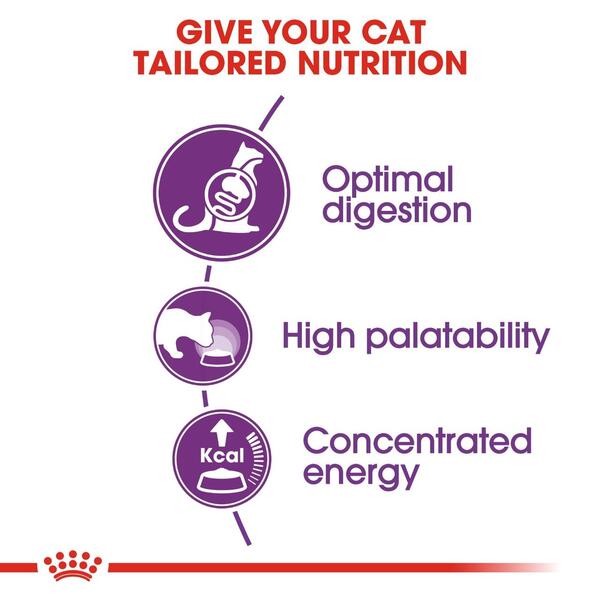 Royal Canin Sensible 33 Adult Dry Cat Food | Pet Bazar UAE