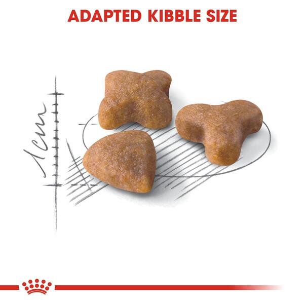 Royal Canin Sensible 33 Adult Dry Cat Food | Pet Bazar UAE